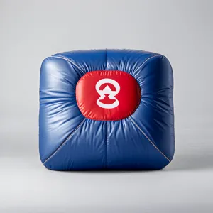 Beginner’s Guide to Inflatable Wrestling Mats for Gyms and Schools