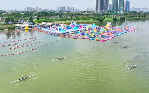 Requirement Confirmation Phase (Critical Decision-Making)