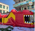Giant Inflatable Obstacle Course: 60x60m Creature-Themed Adventure Zone