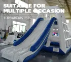 Inflatable Water Tower & Slide: Climb-and-Glide Amusement Equipment
