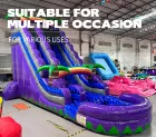 Violet Tropical Inflatable Water Slide: A Dual-Lane Sliding Fun Hub for Summer Coolness