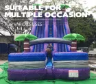 Outdoor Giant Commercial PVC Tarpaulin Wet/Dry Dual Use Tropical Theme Adult Kids Bouncy Castle Water Slide Inflatable Garden