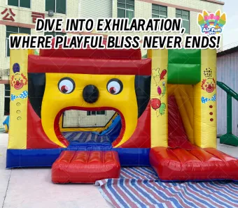 AirFunPro Custom Lightweight Inflatable Bounce House Water Slides Combo 500KG Capacity PVC Tarpaulin Easy Setup for Party Events