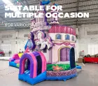 High Quality AirFunPro PVC Tarpaulin Lightweight Bouncy Castle Bouncy Castle Theme Jumping Bed Children's Playground Castle