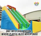 Dry Slide Rush! Multi-Lane Inflatable Slide for Non-Stop Land Fun