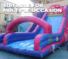 Pink-Blue Inflatable Dry Slide | Boost Foot Traffic with Whimsical Ocean Appeal