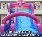 Pink-Blue Inflatable Dry Slide | Boost Foot Traffic with Whimsical Ocean Appeal