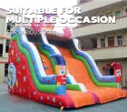 Circus Inflatable Dry Slide | Boost Venue Foot Traffic with Playful Clown Appeal