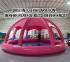 Solid Pink Dome Inflatable Water Castle: A High-Temperature Heat-Sealed, Fast-Inflation Girlish Heart Exclusive Play Sanctuary