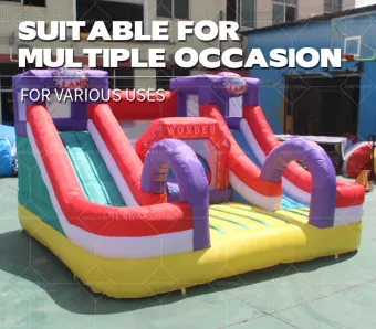 Wonder Land Themed Dual Lane Inflatable Slide | EN14960 Certified, Customizable