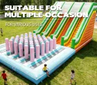 AirFunPro Giant PVC Inflatable Water Slide Castle with Bouncy Jumping Areas for Kid Party Games-Hot Sale