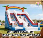 6m×4m×4m Rainbow Palm Dual-Lane Inflatable Slide: Tropical Thrills in Every Slide!