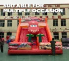 13.7m Lightning McQueen Dual-Lane Inflatable Slide