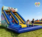 Commercial-Grade Paw Patrol Slide: Bold Design for Max Play Appeal
