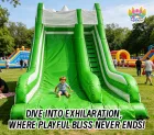 Vibrant Green Dual Slide: A Fresh Take on Classic Inflatable Fun!