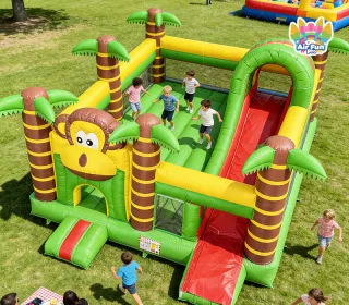 Inflatable Bouncer Castle Slide Combo-Commercial Use PVC Tarpaulin Eco-Friendly Party Jump House (Customizable Size)