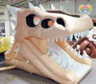 Inflatable Water Pool Slide Home Use Outdoor Large Inflatable Water Dry Slide for Adult PVC