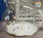Inflatable Bubble Dome House | Clear PVC Balloon Bubble Tent