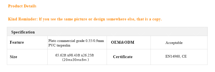 AIRFUNPRO Ocean Adventure Bouncy Castle – Endless Fun