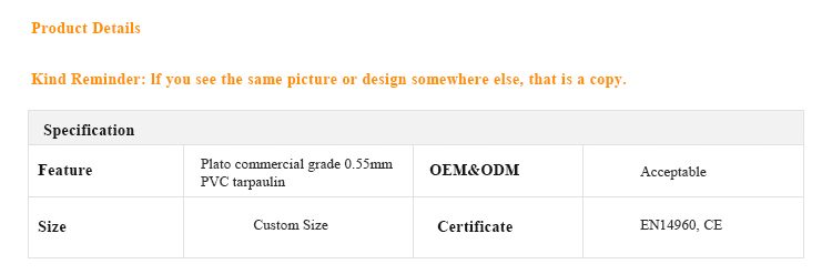 Pink-Purple Adventure Slide: The Most Vibrant Inflatable Castle Ever!