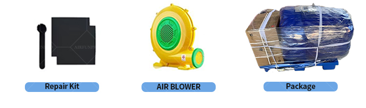 Pink Tropical Dual Lane Inflatable Water Slide | EN14960 Certified, Customizable