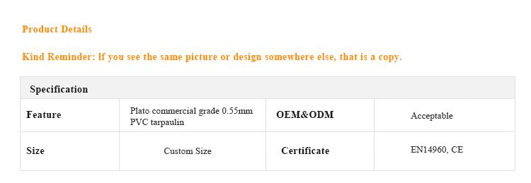 Jungle Animal Themed Multi-Lane Inflatable Slide | EN14960 Certified