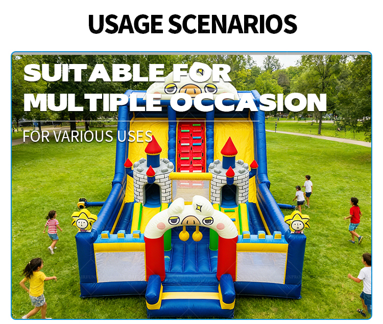 Custom-Size Dream Castle Inflatable Slide | Ideal for Amusement Parks