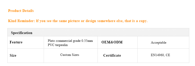 Jungle-Themed Inflatable Water Slide: Crafted for Joyful Family Playtime