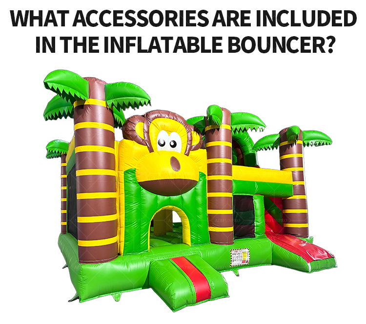 Inflatable Bouncer Castle Slide Combo-Commercial Use PVC Tarpaulin Eco-Friendly Party Jump House (Customizable Size)